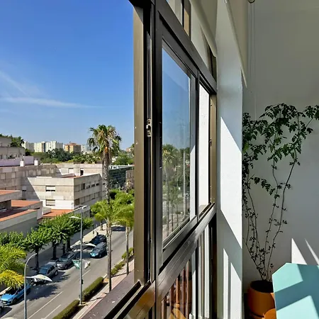 Sol Jerez - Ole Solutions 赫雷斯
